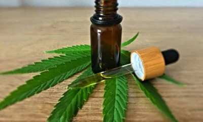 More Than 1 In 10 Americans Used CBD Within The Past Month, New Analysis Of Federal Data Shows