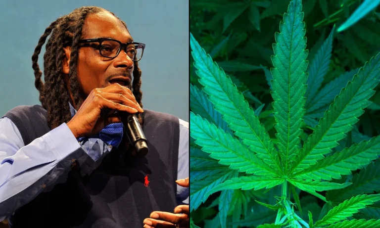 Snoop Dogg Expands Marijuana Empire Again With New Line Of Blunts After Judging Rolling Contest In Vegas